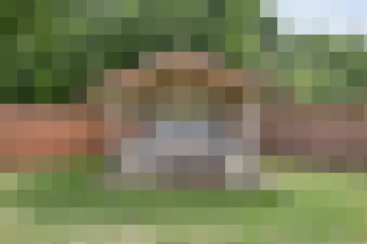 Terheijdenseweg 410 Breda thumbnail 34