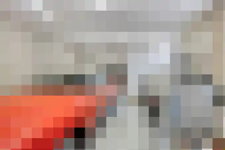 Terheijdenseweg 410 Breda thumbnail 39