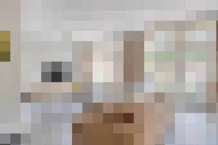 Terheijdenseweg 410 Breda thumbnail 4