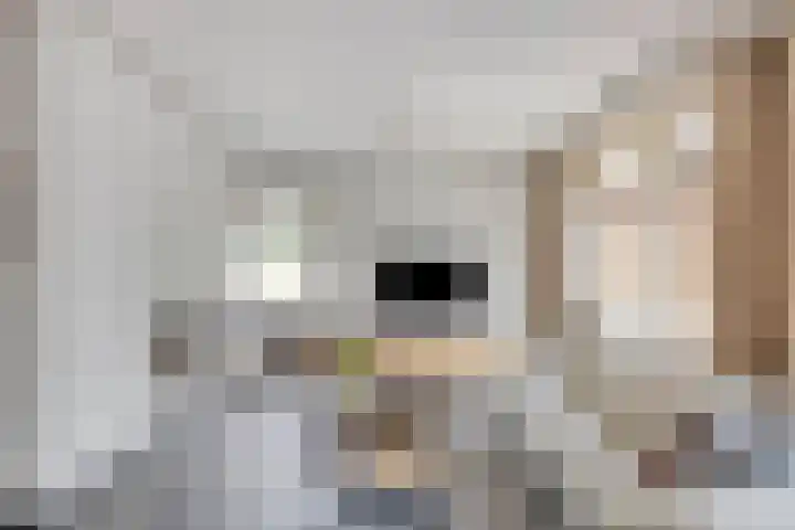 Terheijdenseweg 410 Breda thumbnail 5