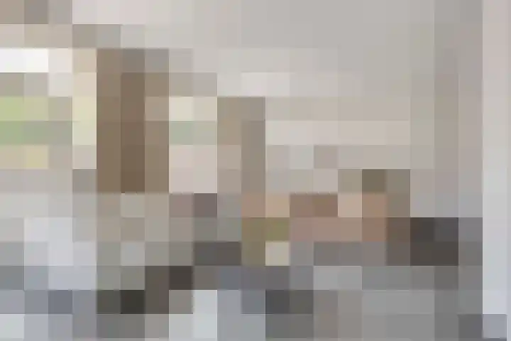 Terheijdenseweg 410 Breda thumbnail 6