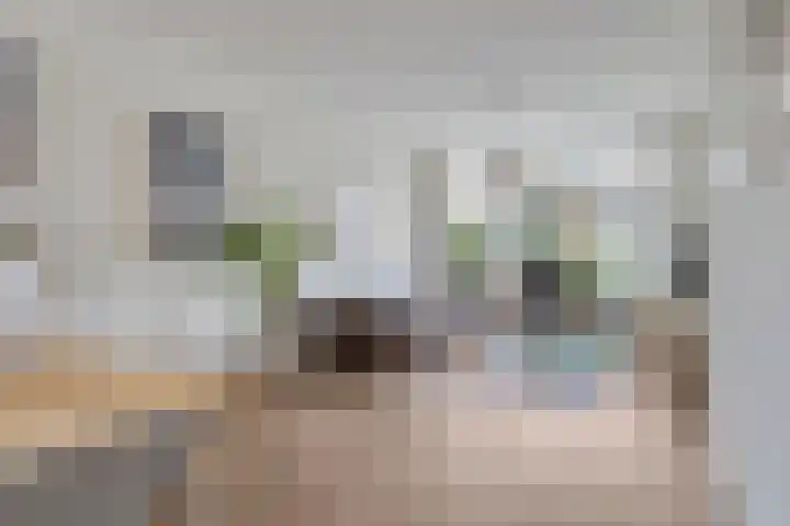 Terheijdenseweg 9 Breda thumbnail 5