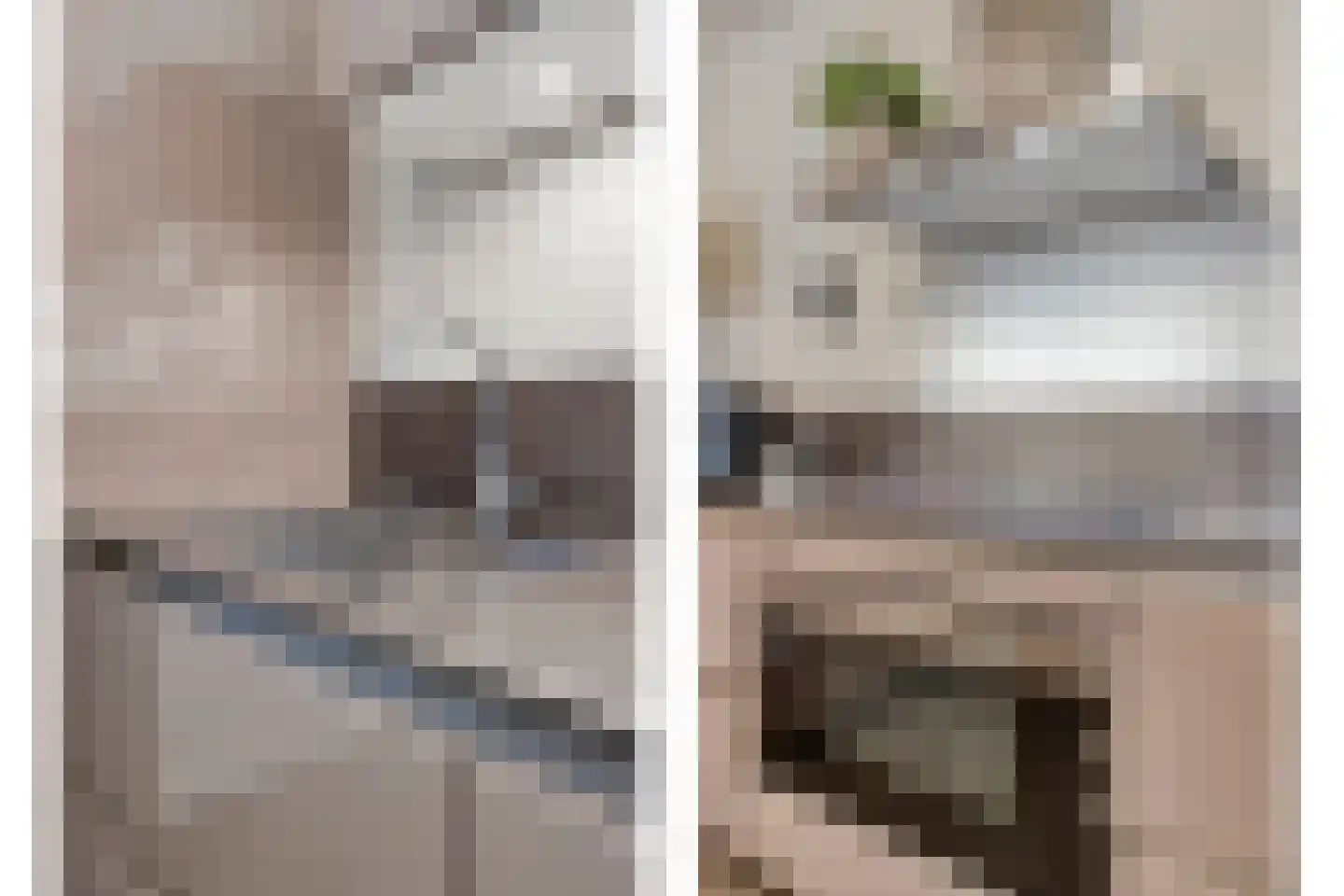 Terheijdenstraat 12 Breda thumbnail 12
