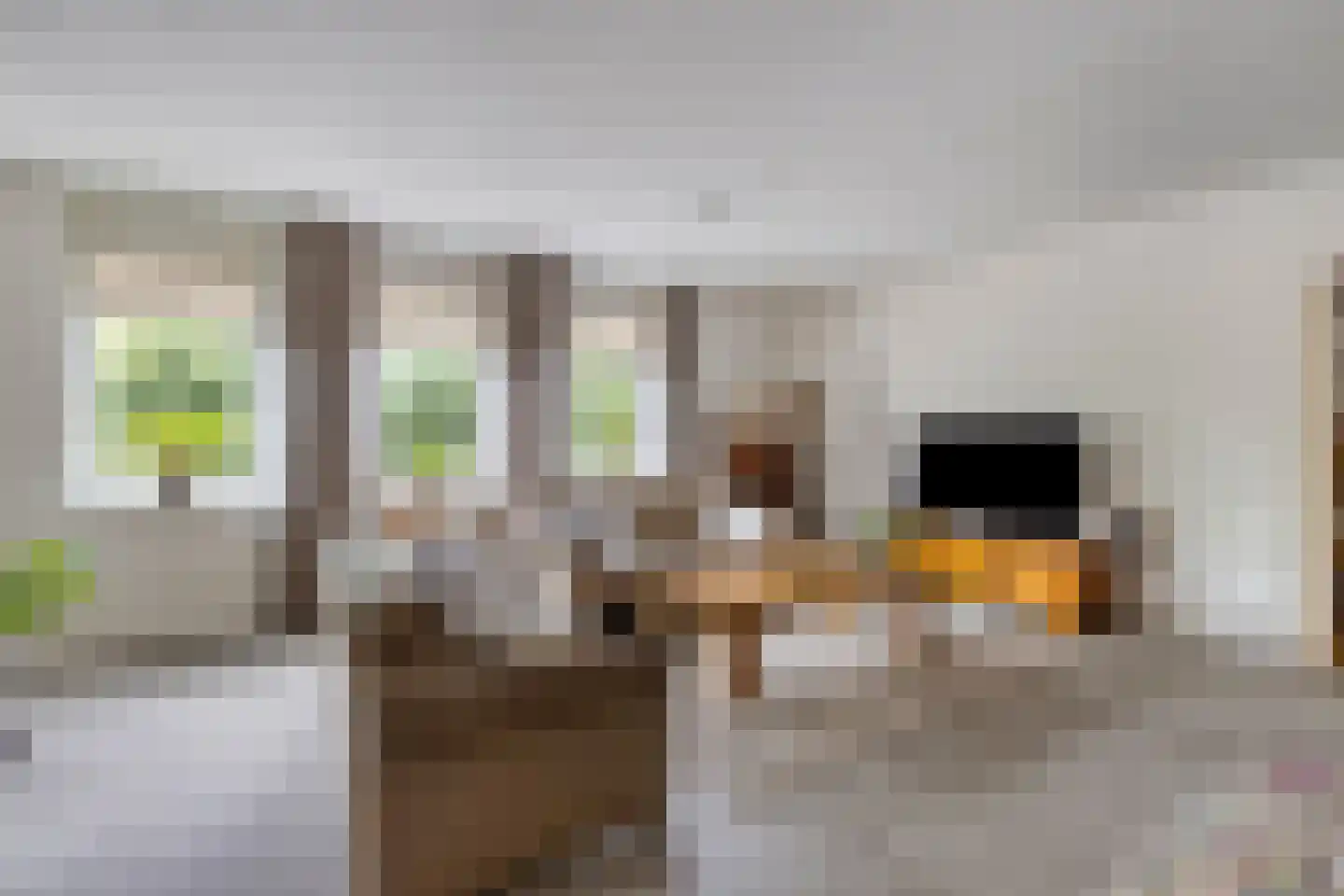 Terheijdenstraat 12 Breda thumbnail 17
