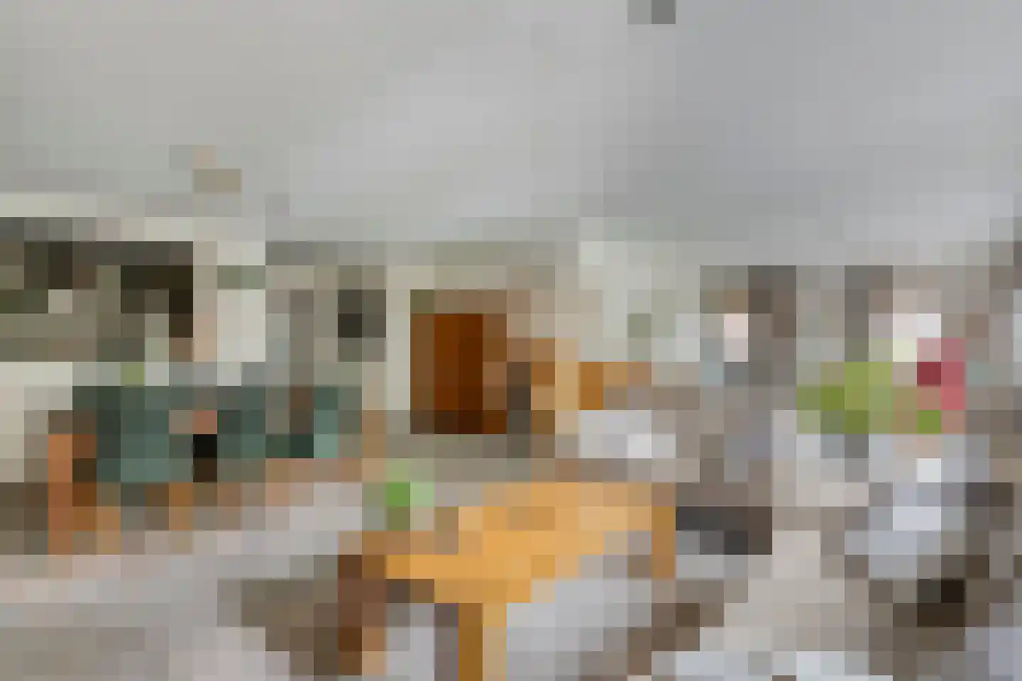 Terheijdenstraat 12 Breda thumbnail 20