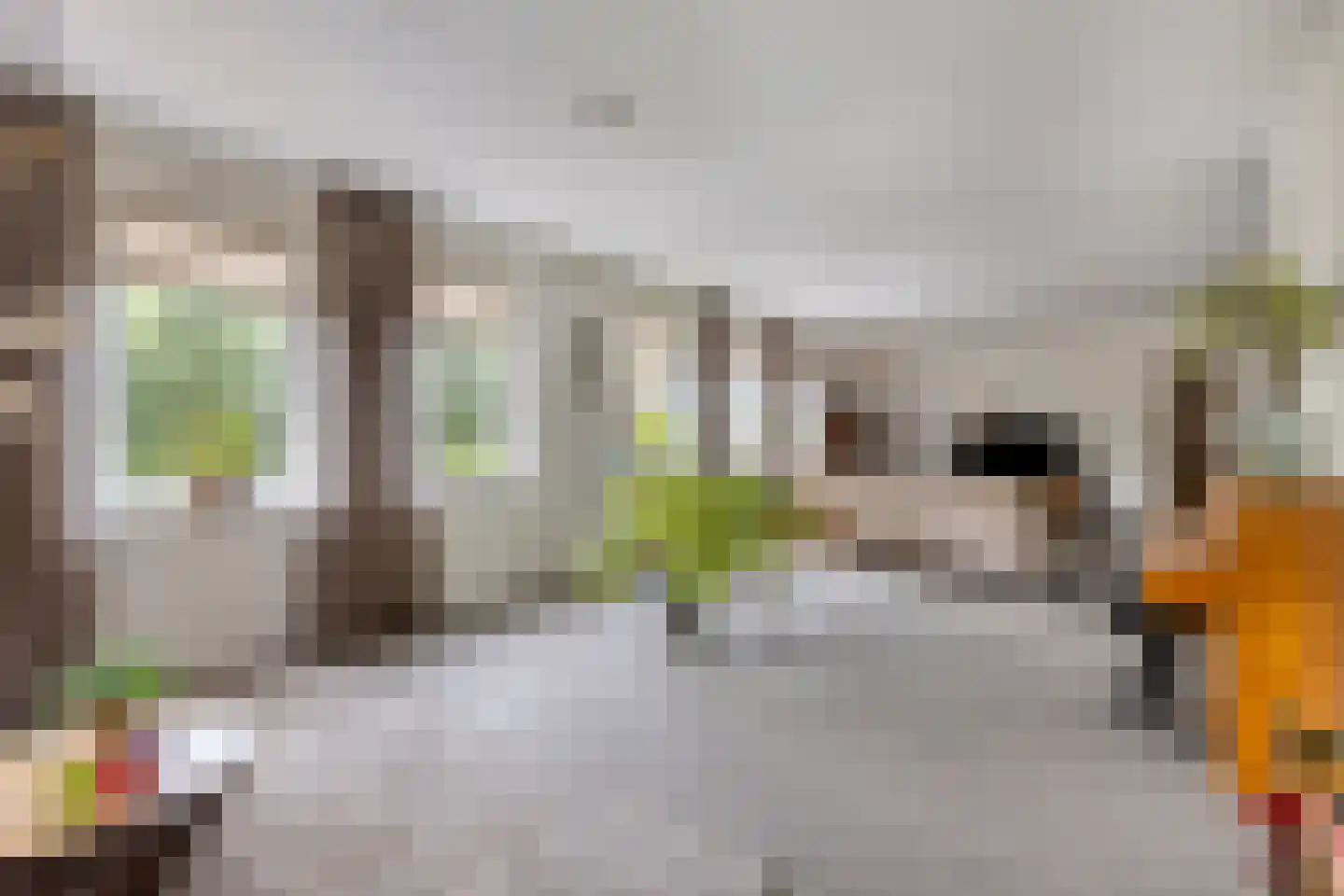 Terheijdenstraat 12 Breda thumbnail 21