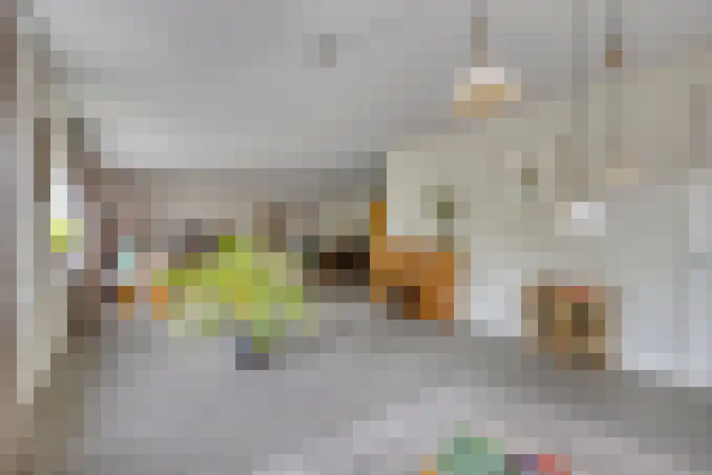 Terheijdenstraat 12 Breda thumbnail 22