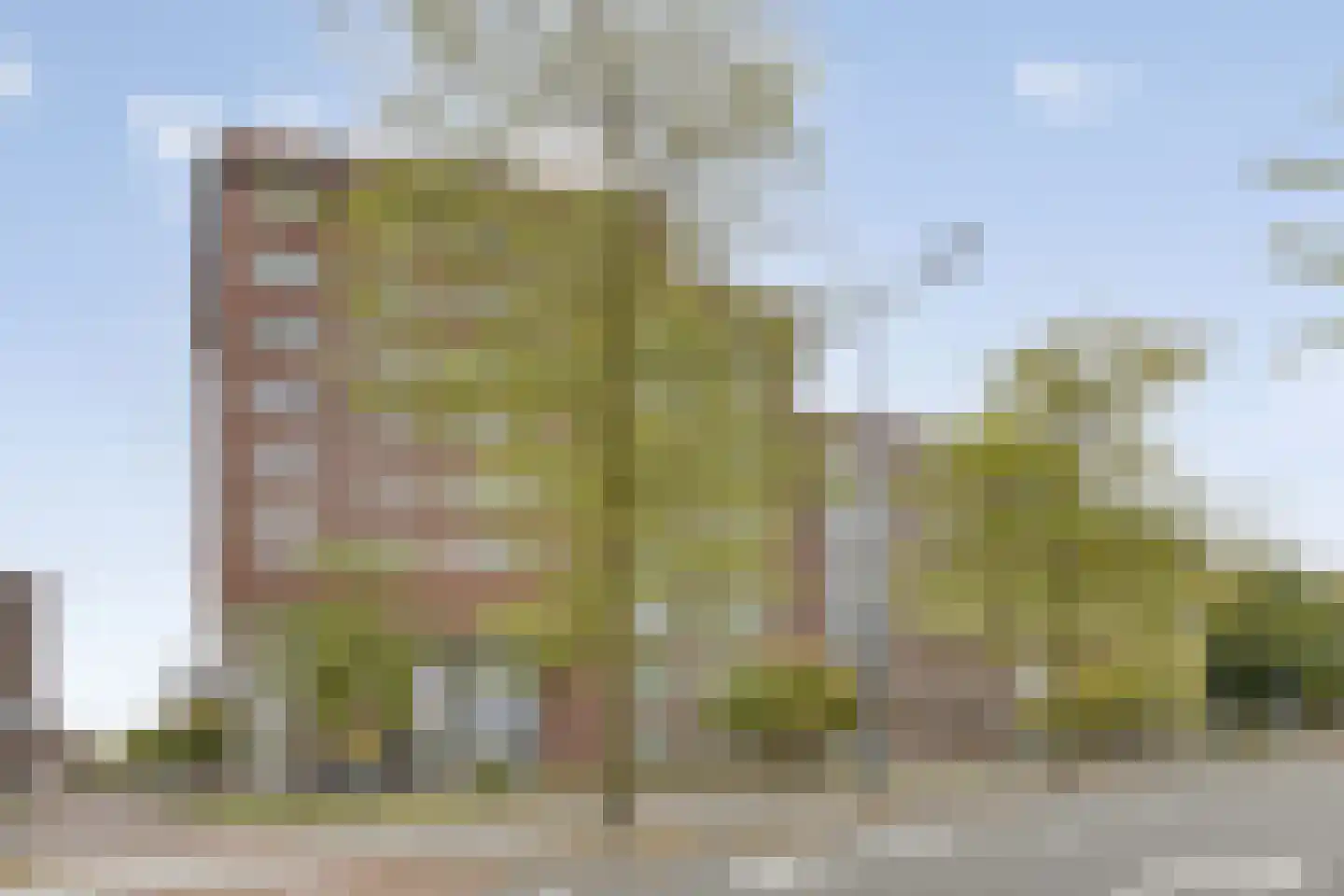 Terheijdenstraat 12 Breda thumbnail 46