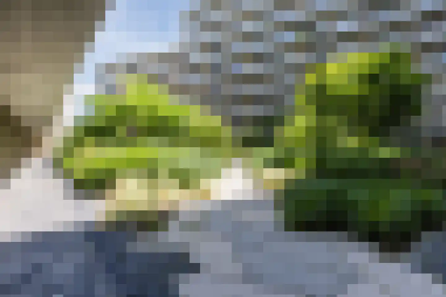 Terheijdenstraat 122 Breda thumbnail 35