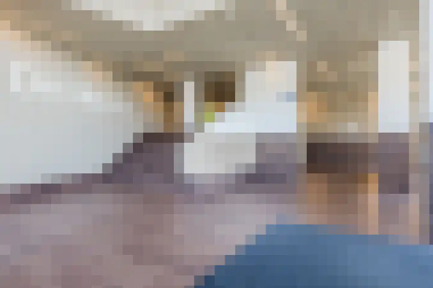 Terheijdenstraat 122 Breda thumbnail 5