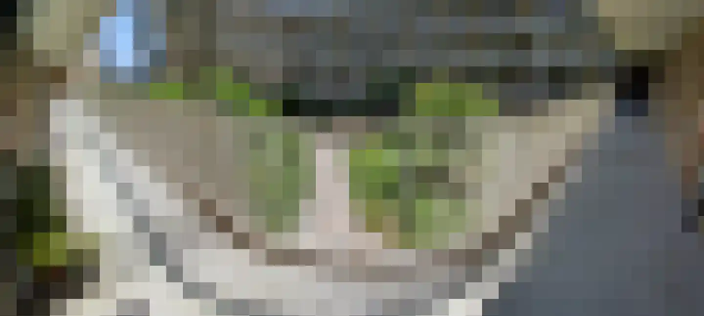 Terheijdenstraat 122 Breda thumbnail 8