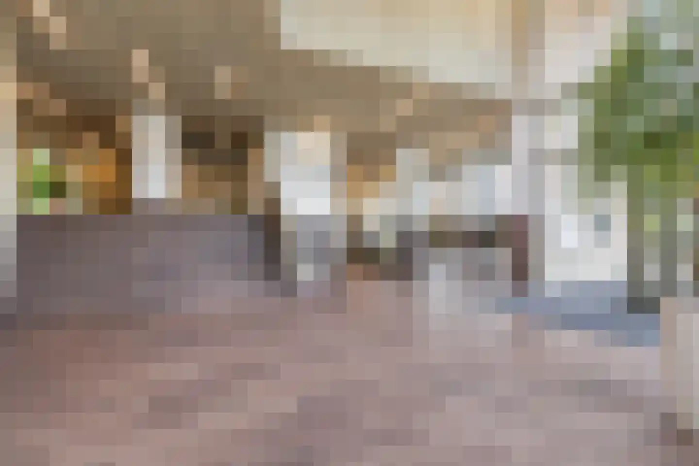 Terheijdenstraat 196 Breda thumbnail 6