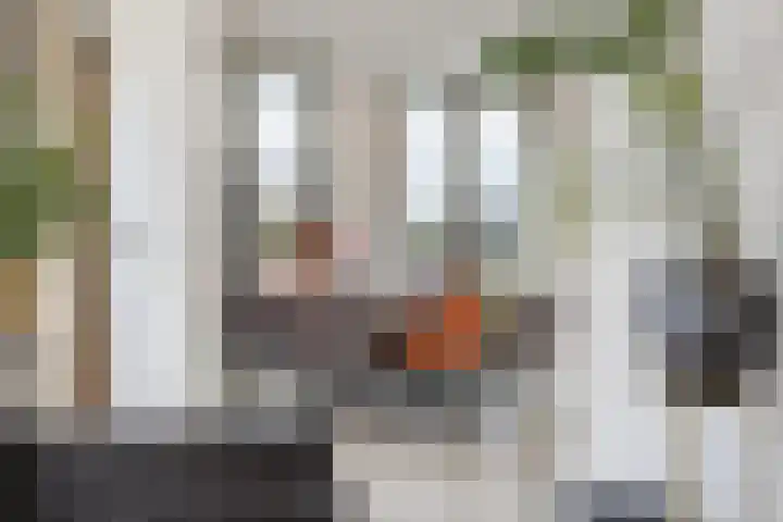 Terheijdenstraat 200 Breda thumbnail 10