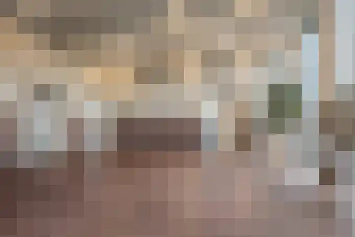 Terheijdenstraat 200 Breda thumbnail 32