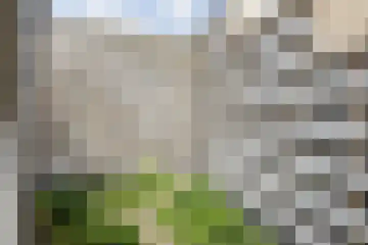 Terheijdenstraat 200 Breda thumbnail 37