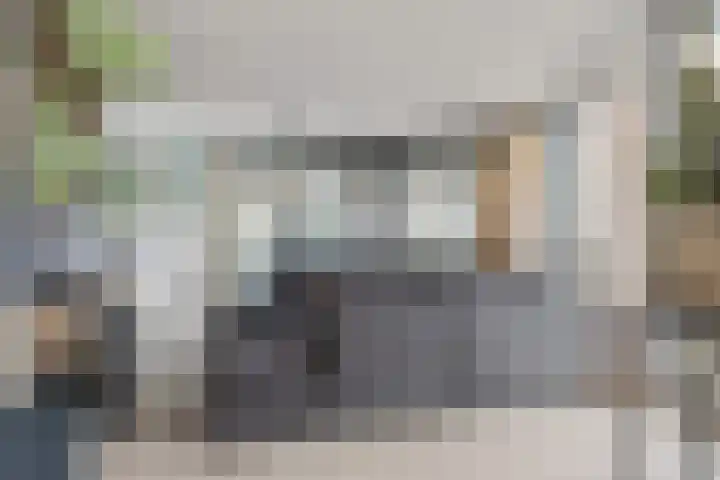 Terheijdenstraat 200 Breda thumbnail 5
