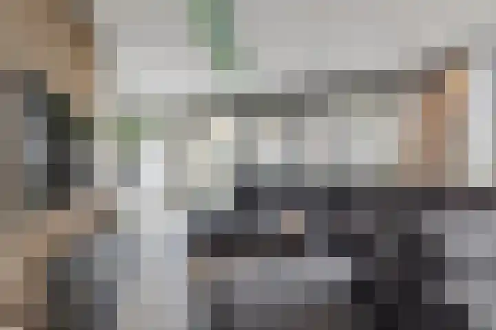 Terheijdenstraat 200 Breda thumbnail 6