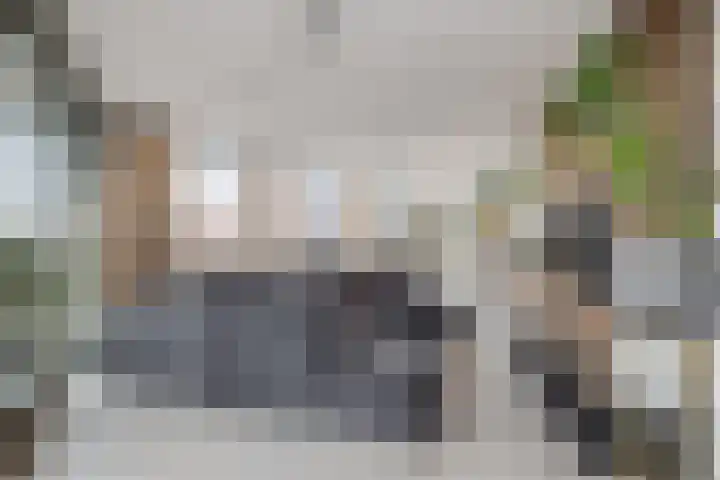Terheijdenstraat 200 Breda thumbnail 7