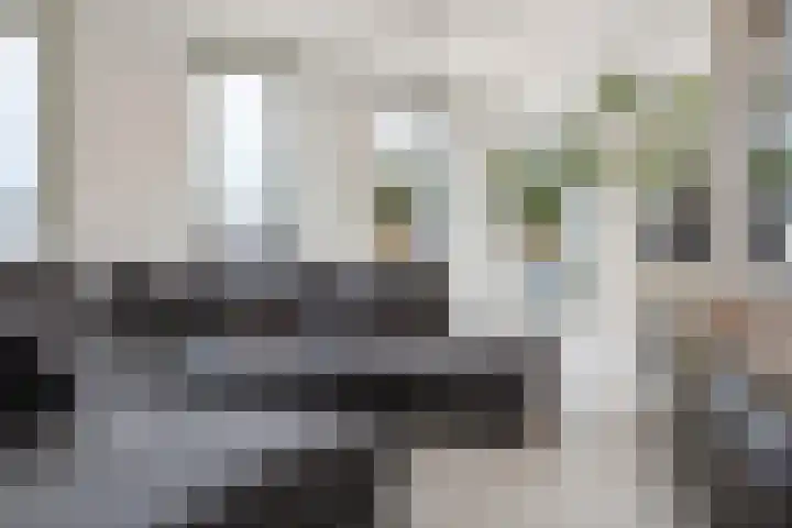 Terheijdenstraat 200 Breda thumbnail 8