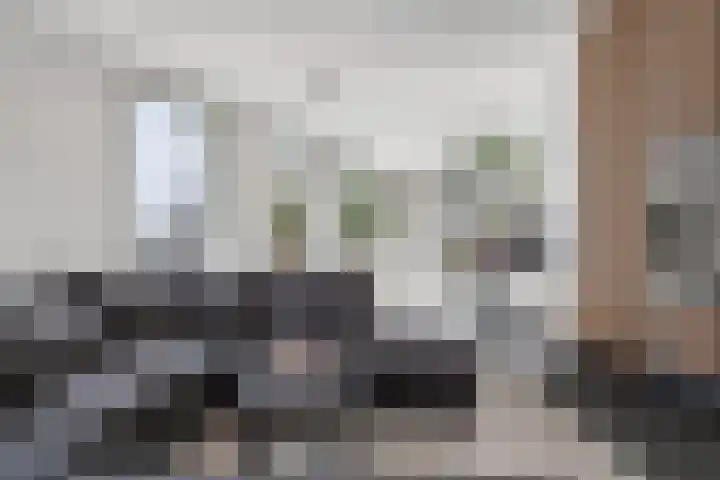 Terheijdenstraat 200 Breda thumbnail 9
