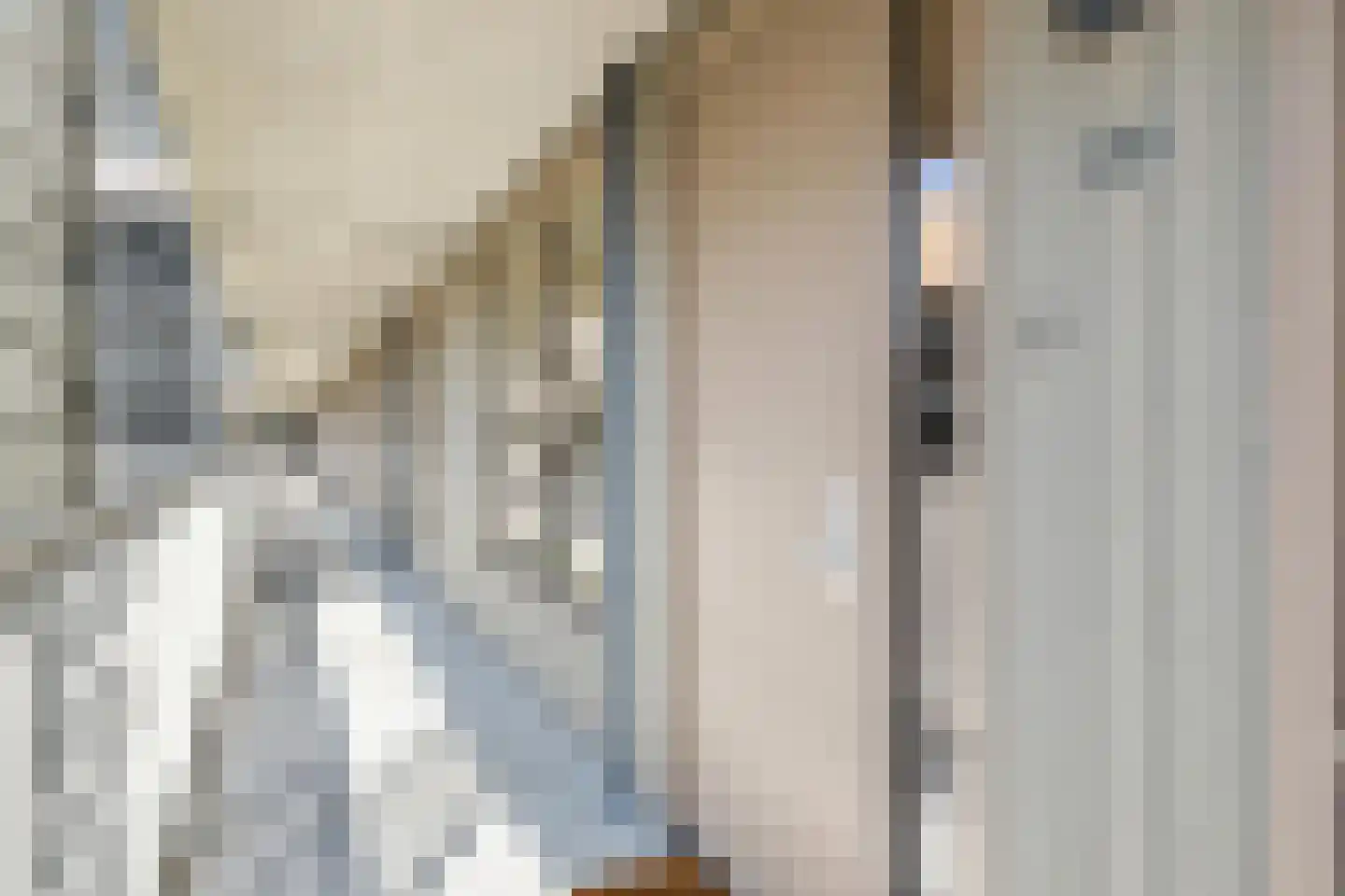 Terheijdenstraat 264 Breda thumbnail 18