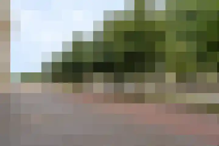 Terheijdenstraat 290 Breda thumbnail 31