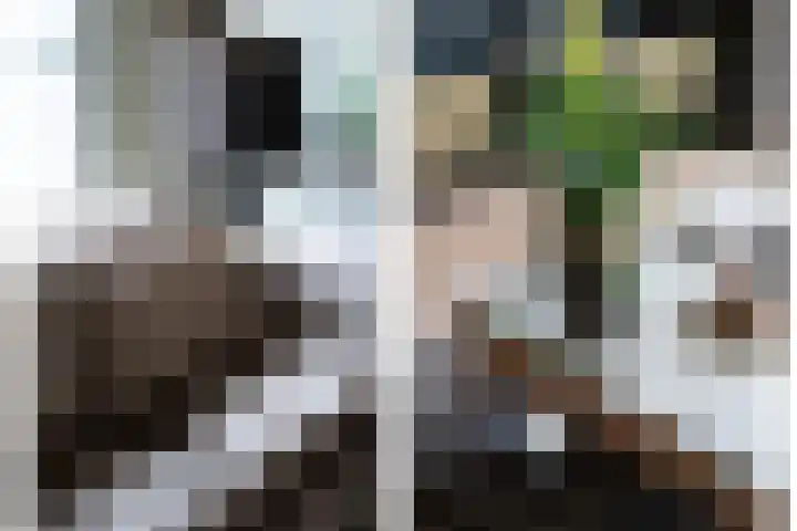 Terheijdenstraat 290 Breda thumbnail 6