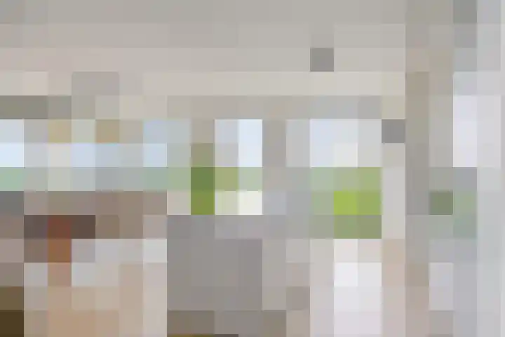 Terheijdenstraat 310 Breda thumbnail 8