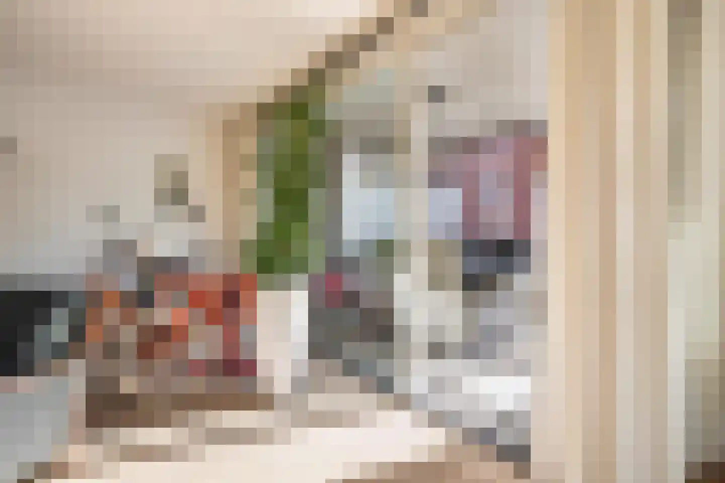 Terheijdenstraat 4 Breda thumbnail 26