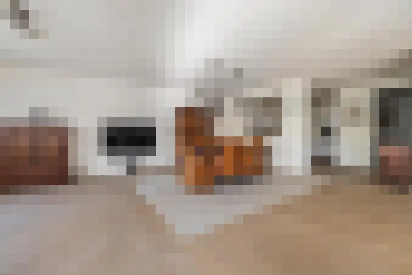 Terheijdenstraat 4 Breda thumbnail 30