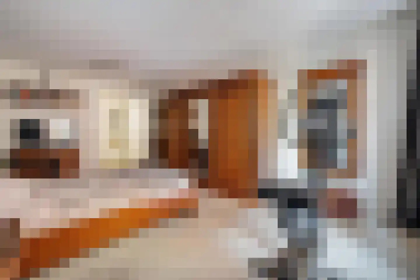 Terheijdenstraat 4 Breda thumbnail 37