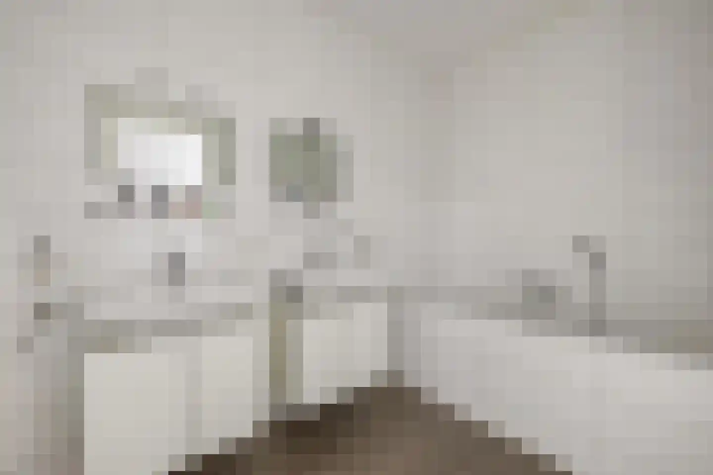 Terheijdenstraat 4 Breda thumbnail 46