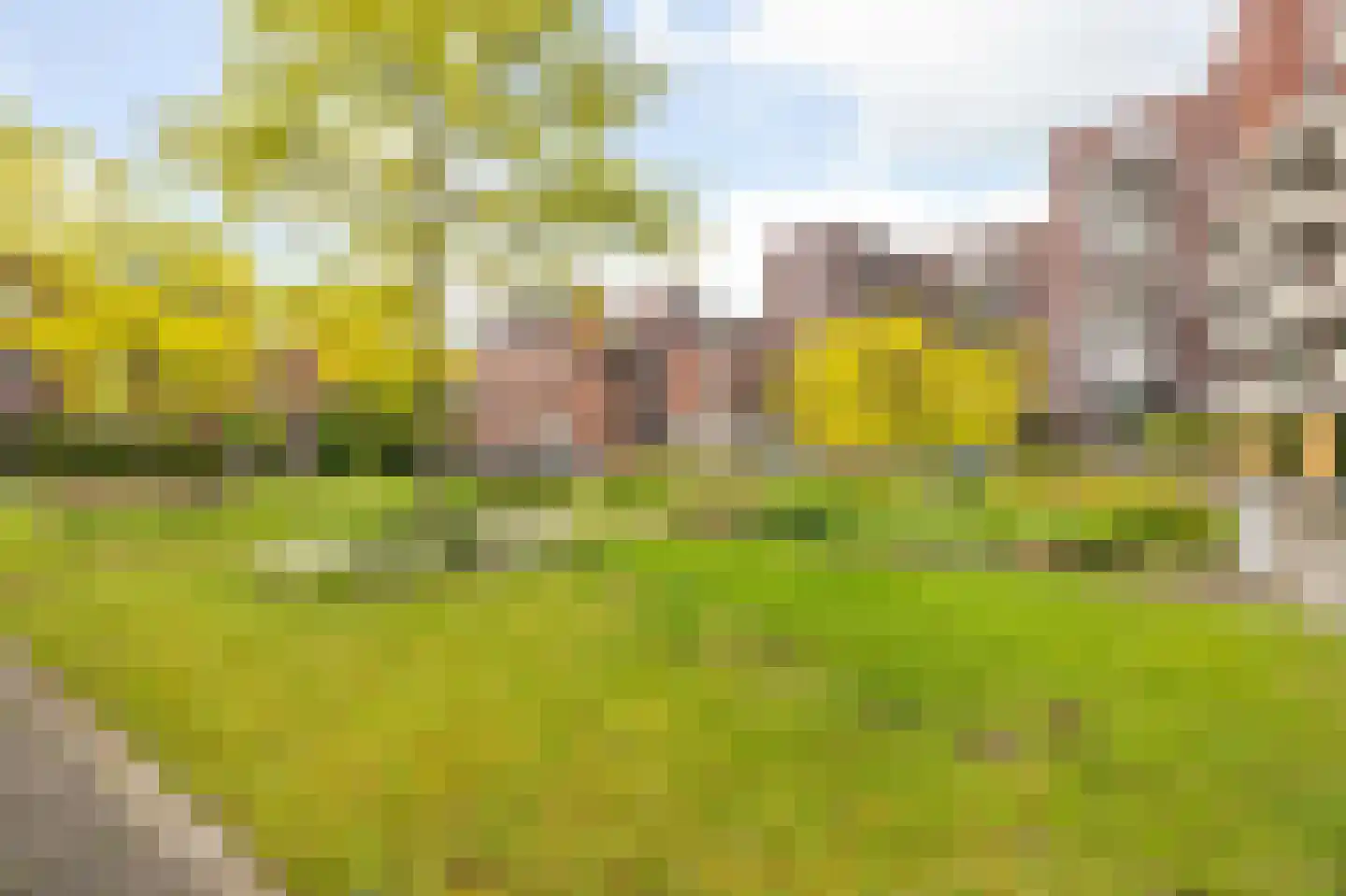 Terheijdenstraat 4 Breda thumbnail 48