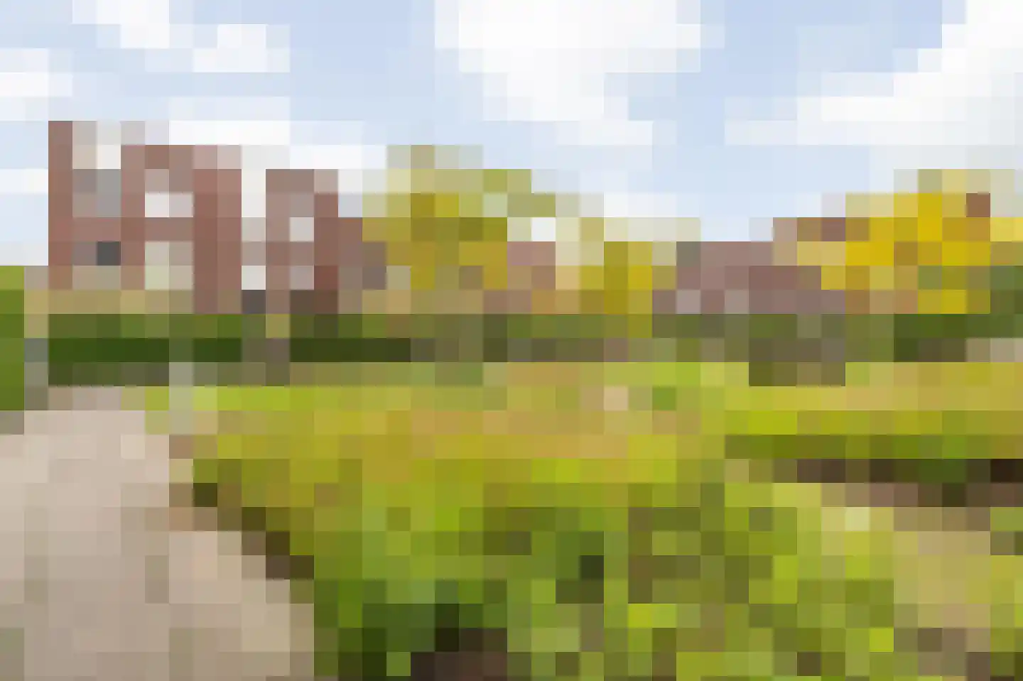 Terheijdenstraat 4 Breda thumbnail 49