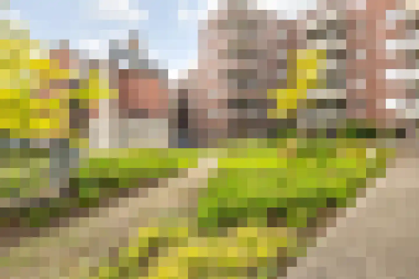 Terheijdenstraat 4 Breda thumbnail 50