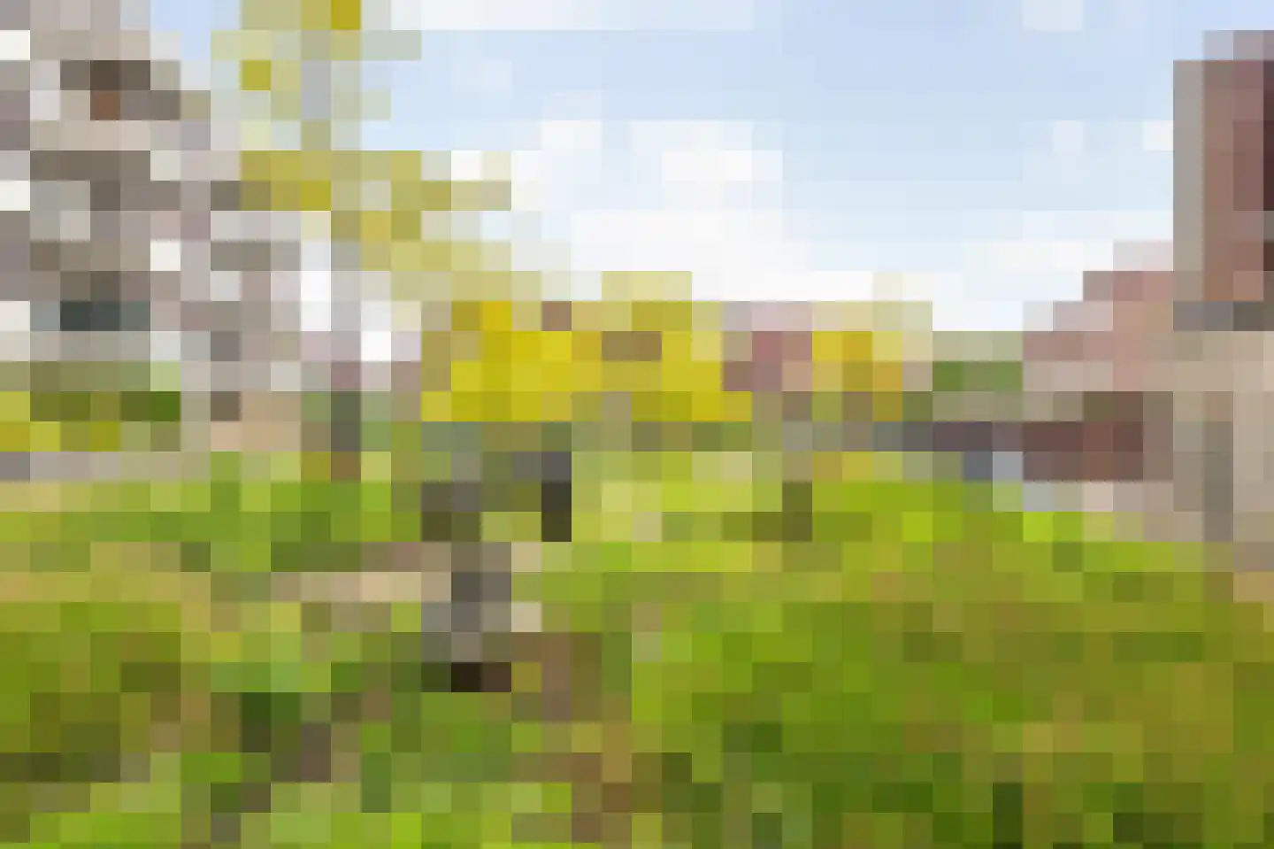 Terheijdenstraat 4 Breda thumbnail 51