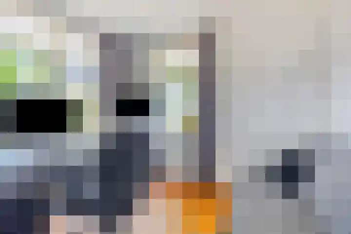 Terheijlsterweg 35 Nieuw-Roden thumbnail 21
