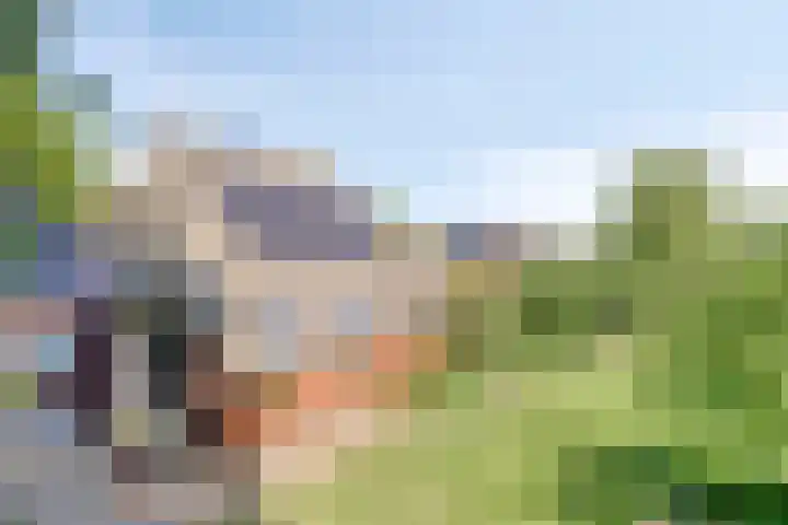 Terheijlsterweg 35 Nieuw-Roden thumbnail 4