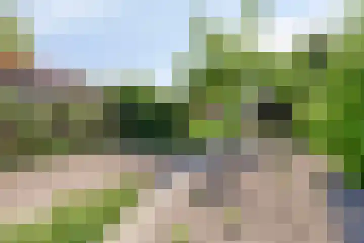 Terheijlsterweg 35 Nieuw-Roden thumbnail 48