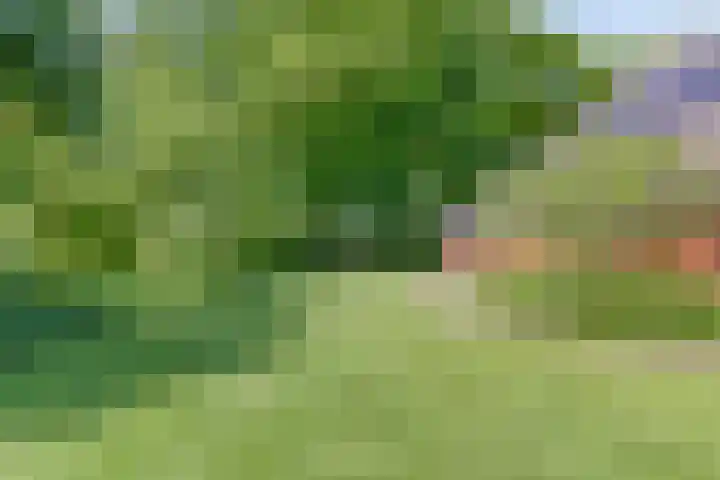 Terheijlsterweg 35 Nieuw-Roden thumbnail 49