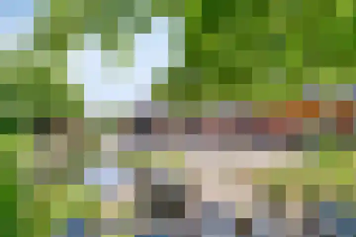 Terheijlsterweg 35 Nieuw-Roden thumbnail 52