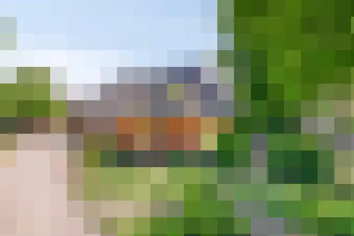 Terheijlsterweg 35 Nieuw-Roden thumbnail 53
