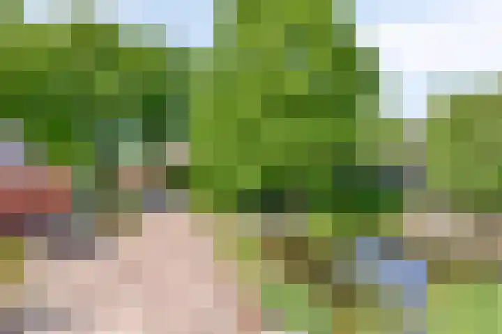 Terheijlsterweg 35 Nieuw-Roden thumbnail 55