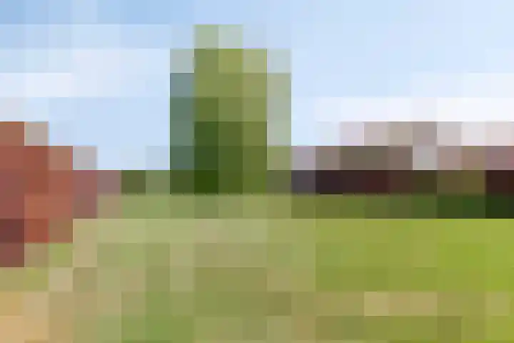 Terheijlsterweg 35 Nieuw-Roden thumbnail 59
