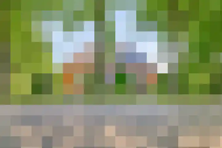 Terheijlsterweg 35 Nieuw-Roden thumbnail 65