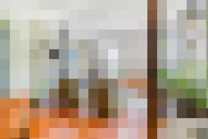 Terheijlsterweg 35 Nieuw-Roden thumbnail 7