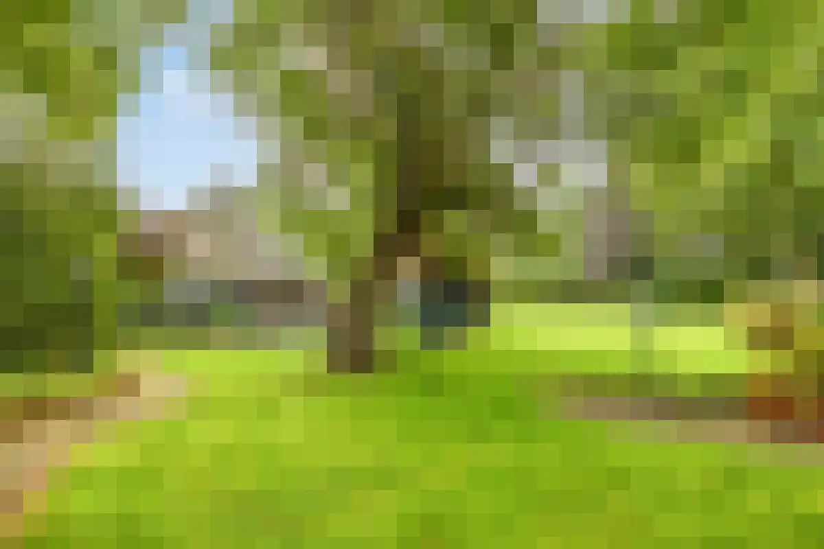 Terheijlsterweg 51 Nieuw-Roden thumbnail 5