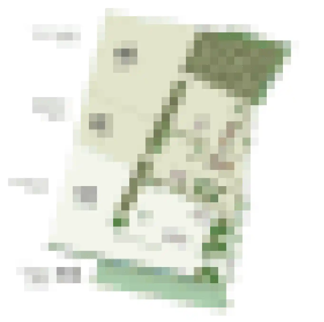 Terhoeksweg 1 a Haarle foto 3