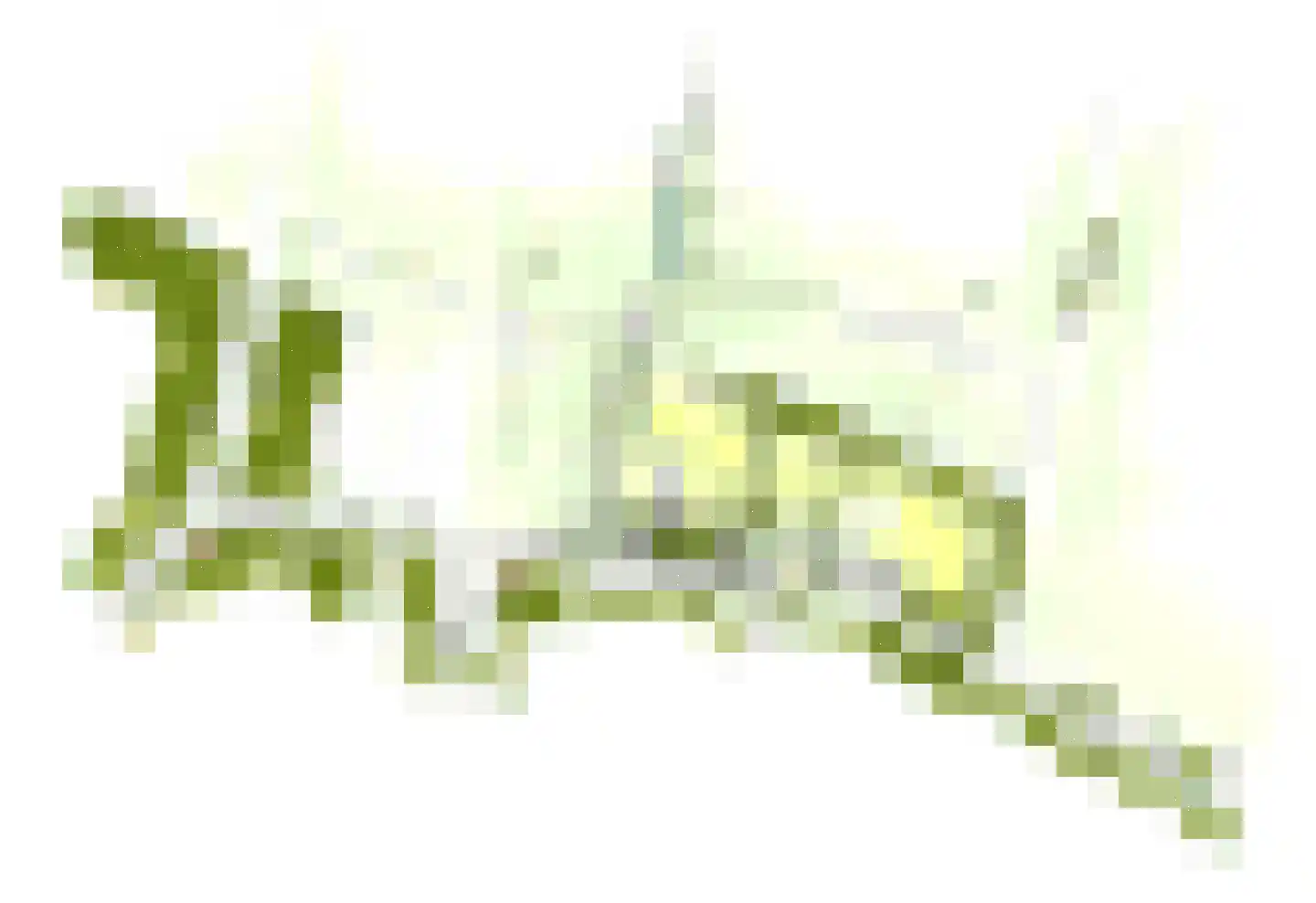 Terhoeksweg 1 a Haarle thumbnail 6