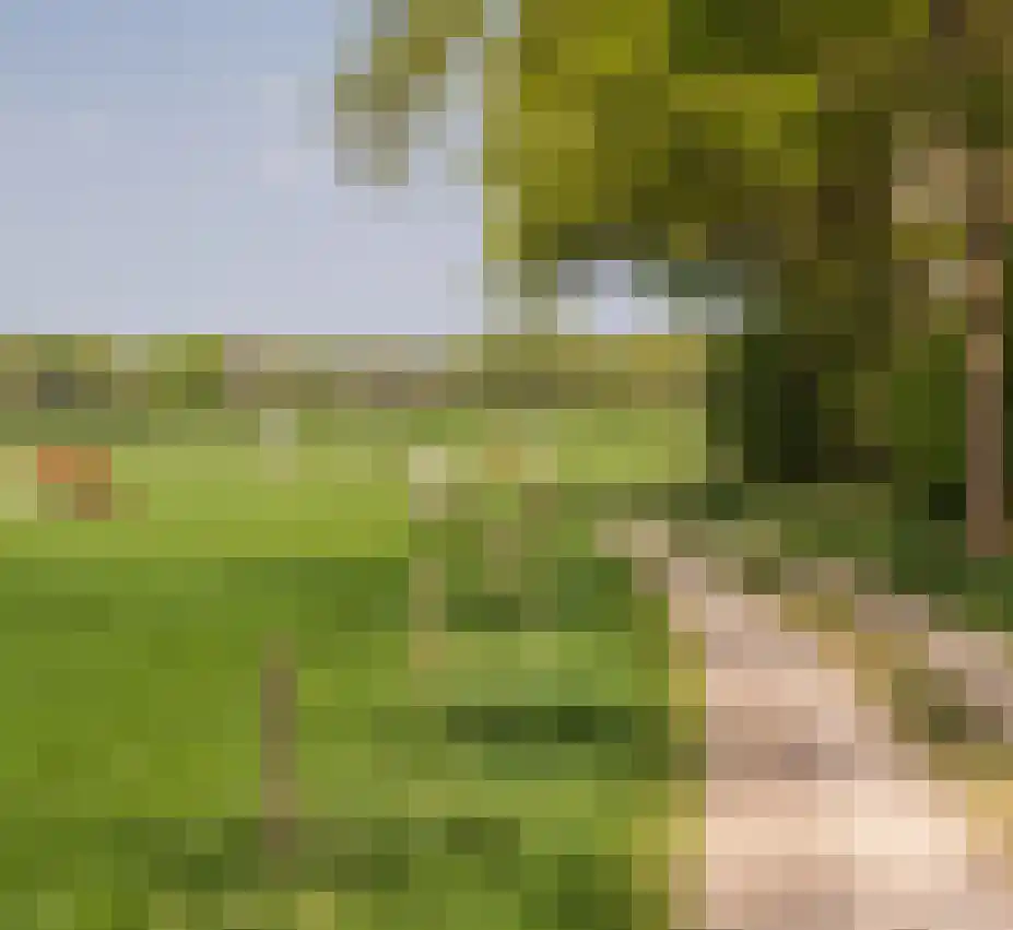 Terhoeksweg 1 a Haarle thumbnail 7
